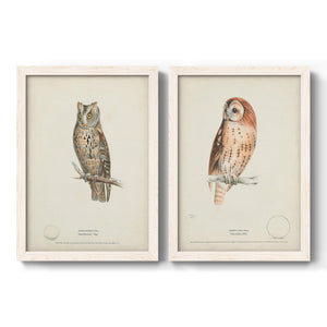 Scops-Eared Owl - Barnwood Framed Canvas Set