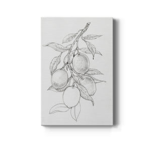 Fruit-Bearing Branch I - Canvas Art Print