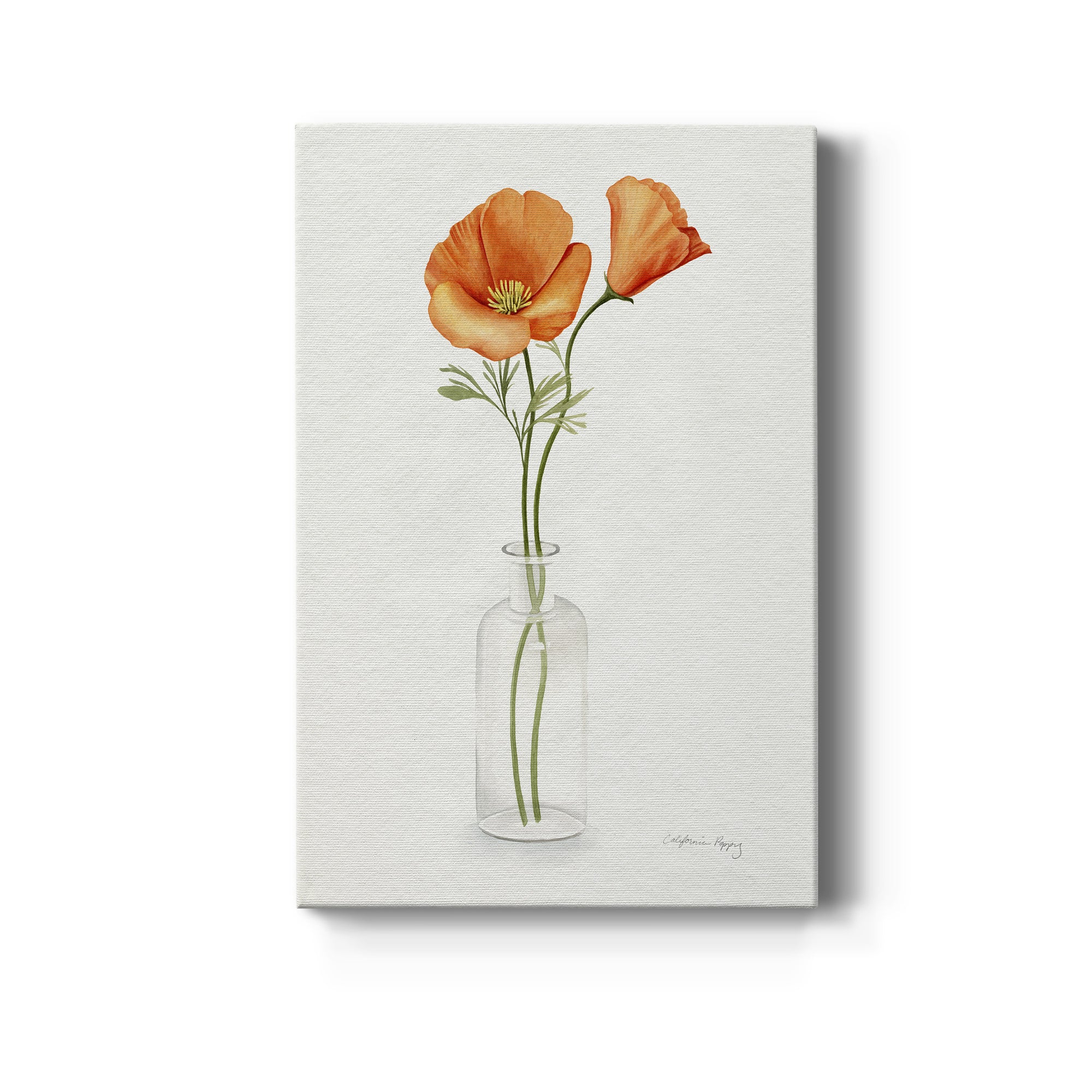 California Poppy Vase II Premium Gallery Wrapped Canvas - Ready to Hang