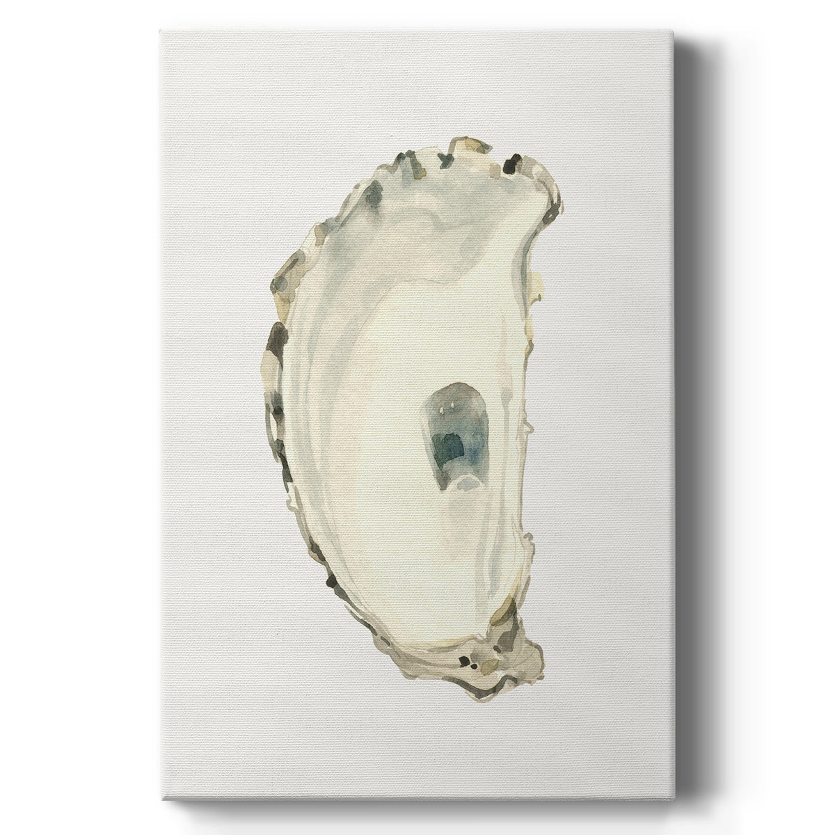 Neutral Oyster Study II  Premium Gallery Wrapped Canvas - Ready to Hang