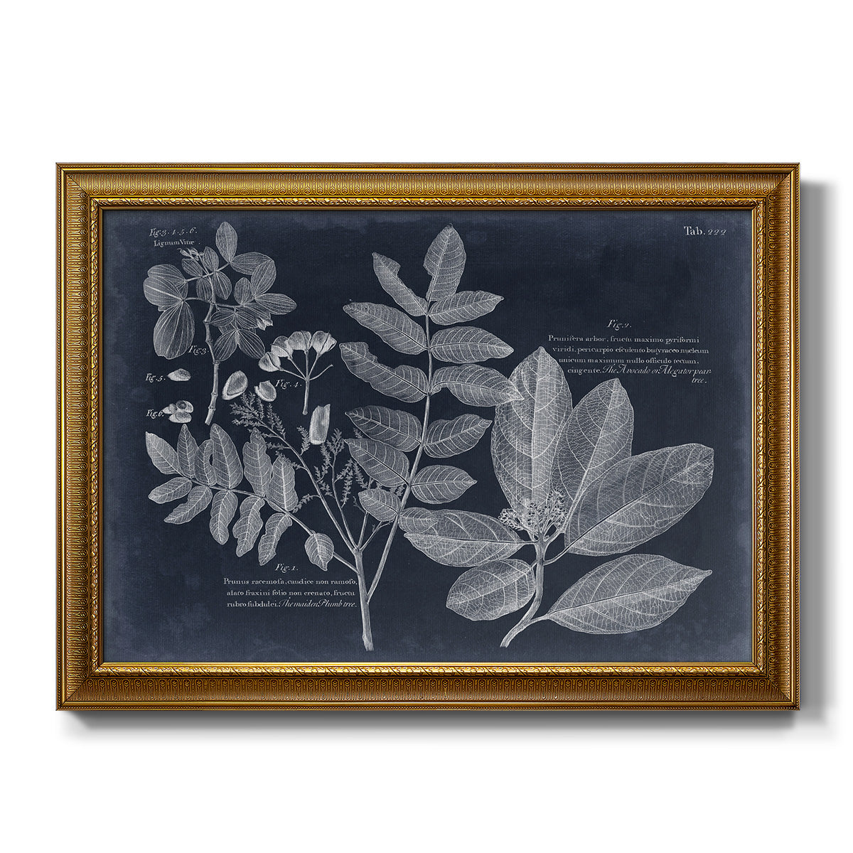 Foliage on Navy V - Ornate Framed Canvas Print