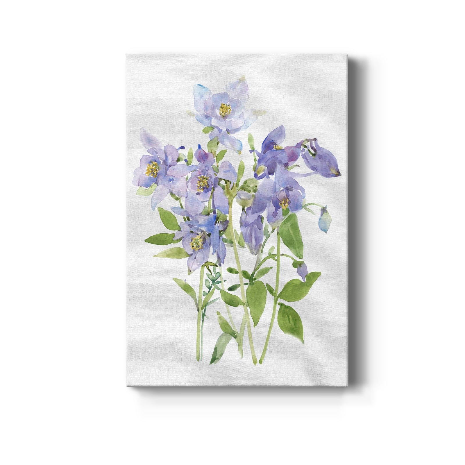 Columbine Spray I - Canvas Art Print