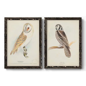 Barn Owl - Premium Framed Canvas 2 Piece Set - Ready to Hang