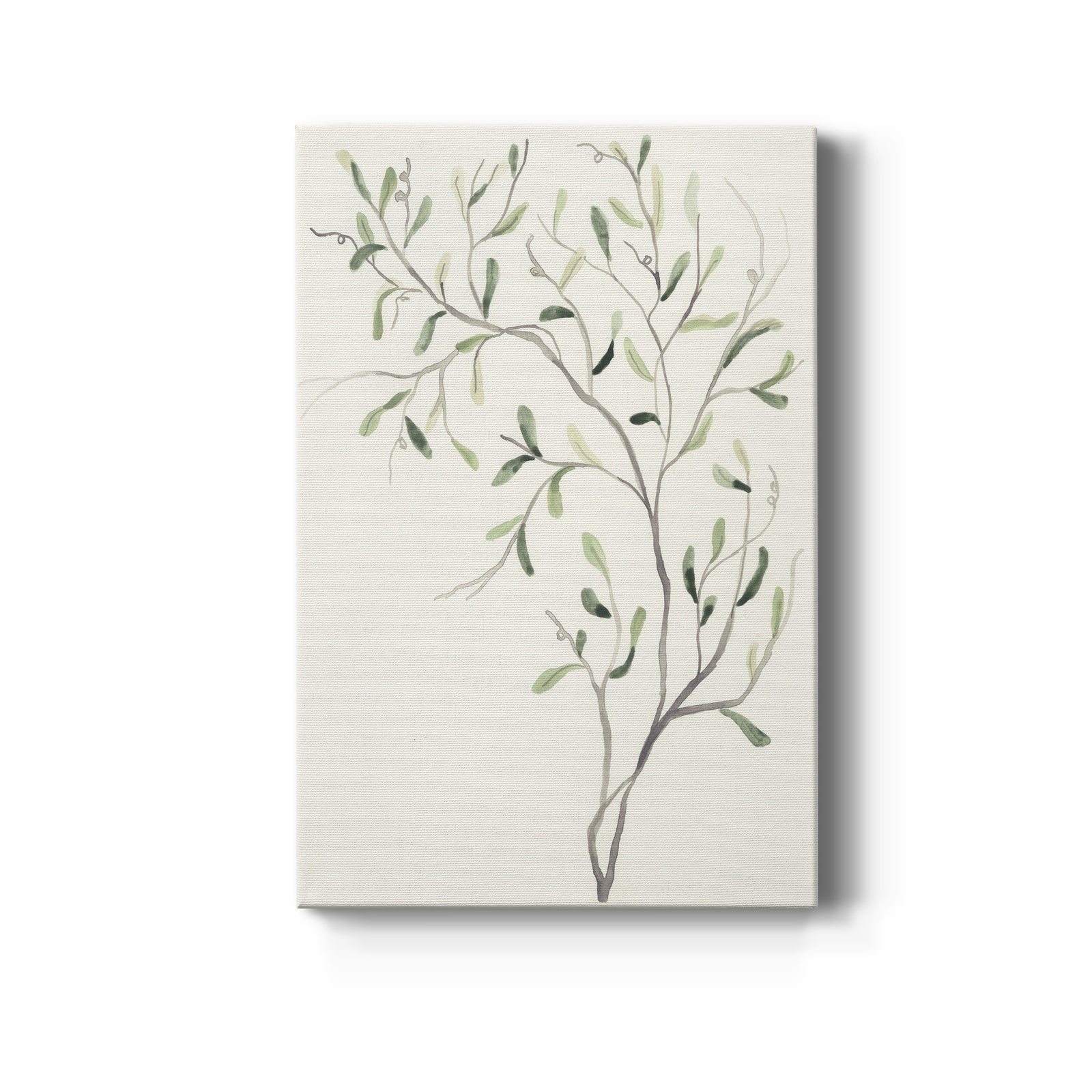 Spindle Sprig I - Canvas Art Print