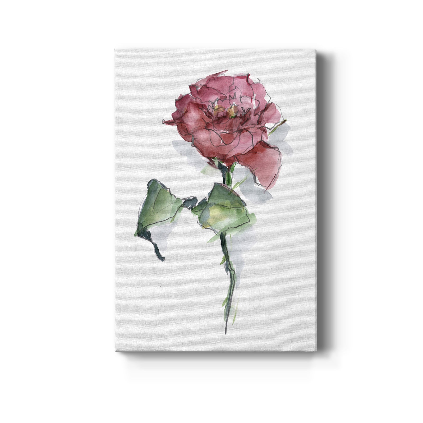 Watercolor Floral Contour I - Canvas Art Print