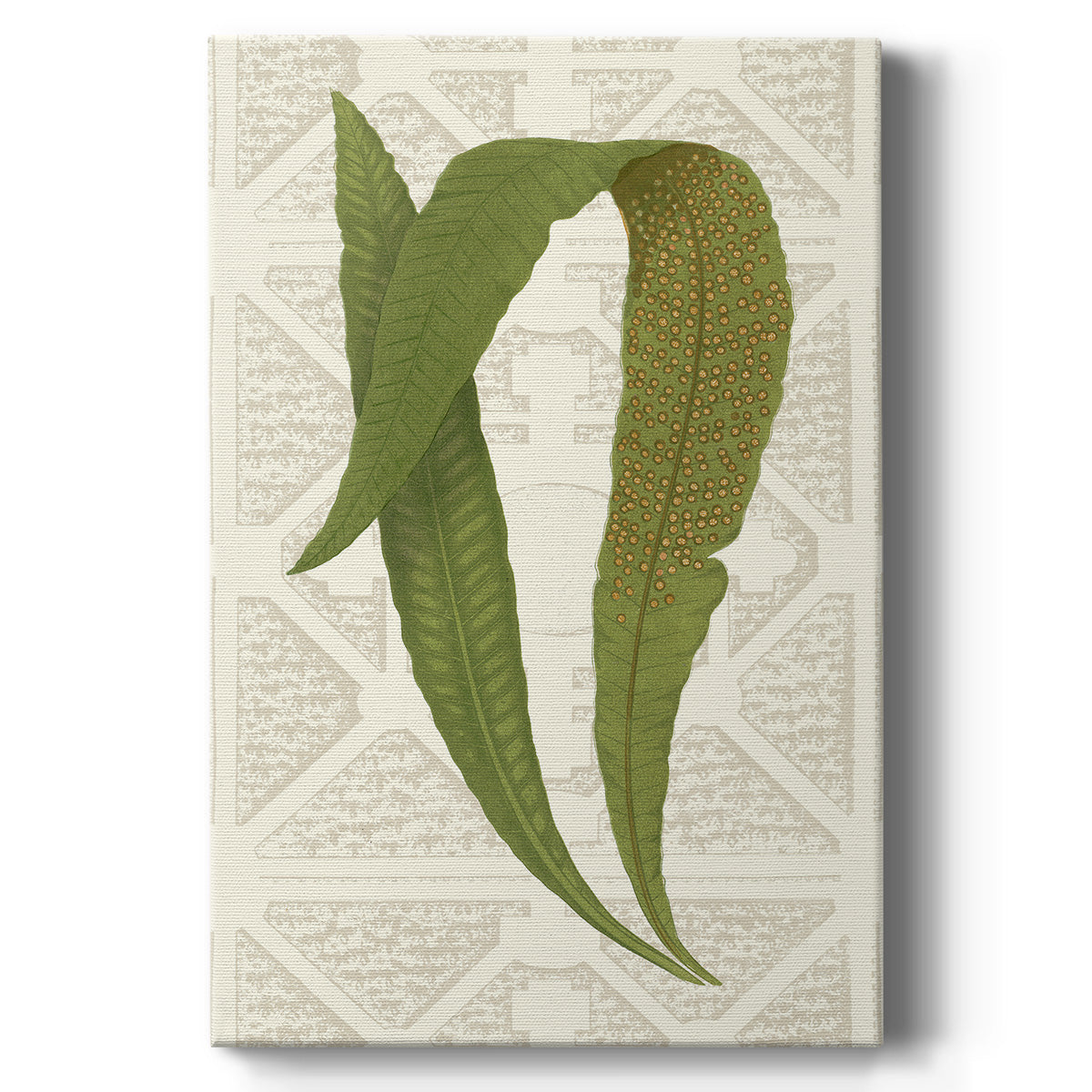 Garden Ferns IV - Canvas Art Print