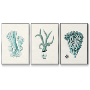 Antique Coastal Coral X - Framed Premium Gallery Wrapped Canvas L Frame 3 Piece Set - Ready to Hang
