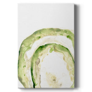 Lichen Halo IV - Canvas Art Print