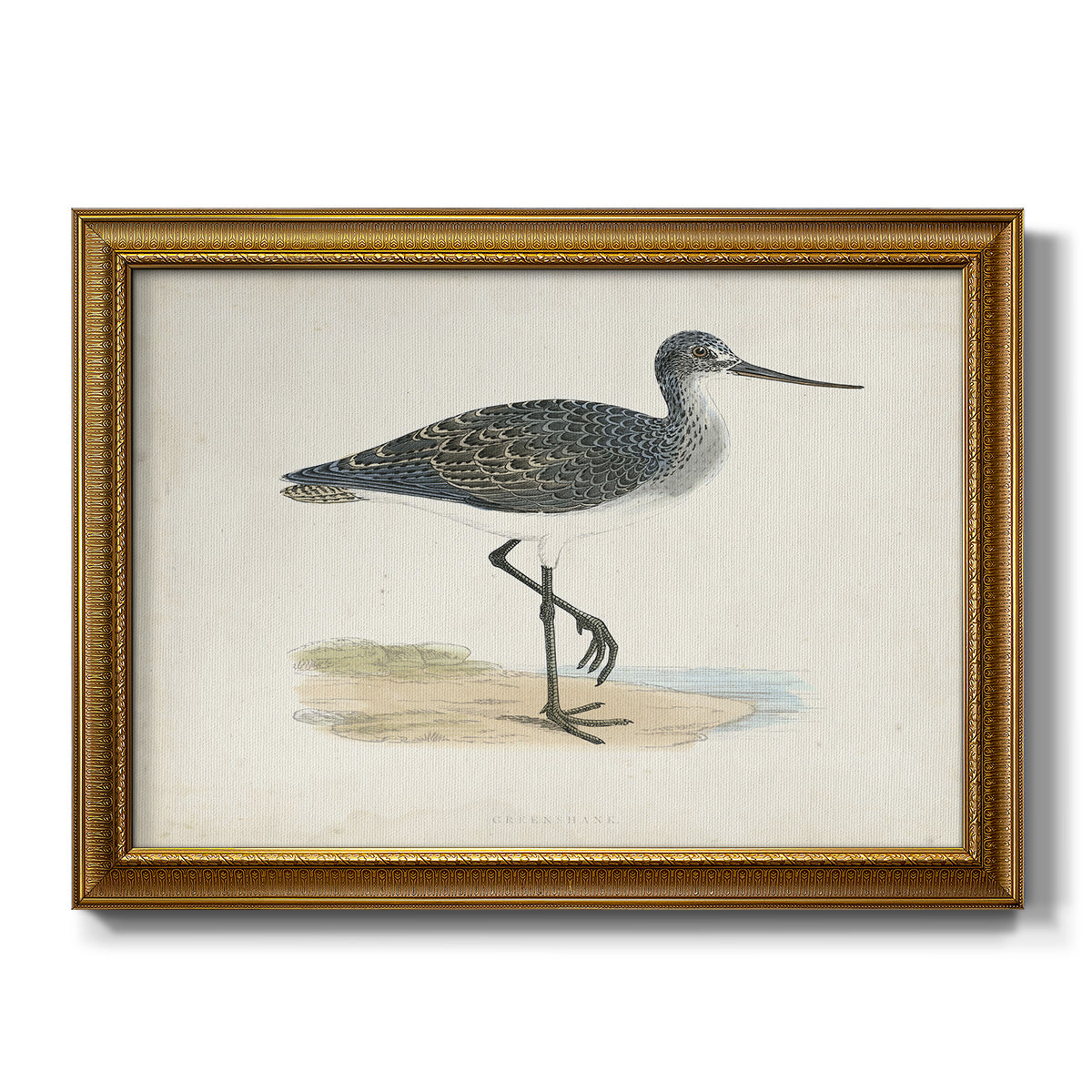 Morris Sandpipers III - Ornate Framed Canvas Print