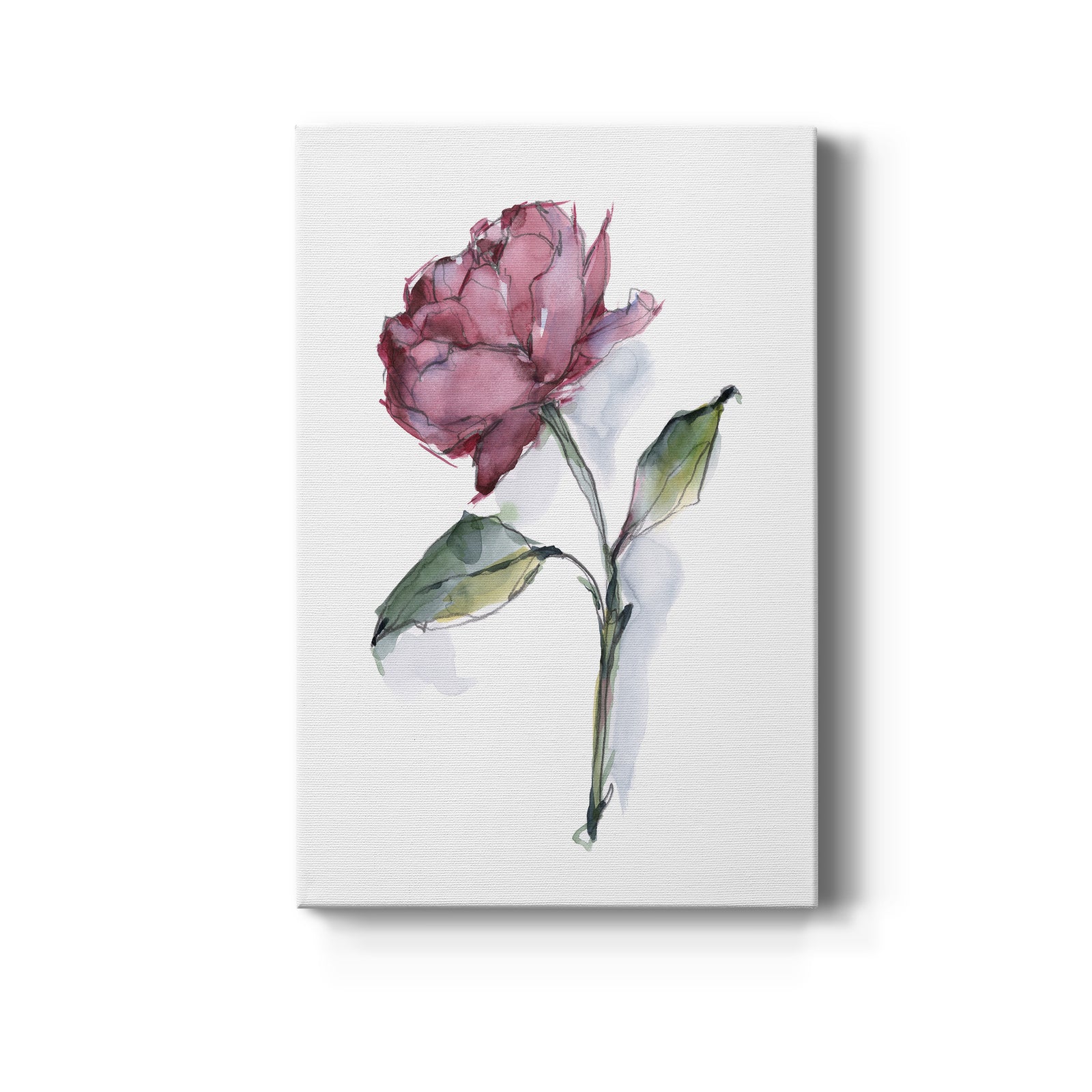 Watercolor Floral Contour III - Canvas Art Print