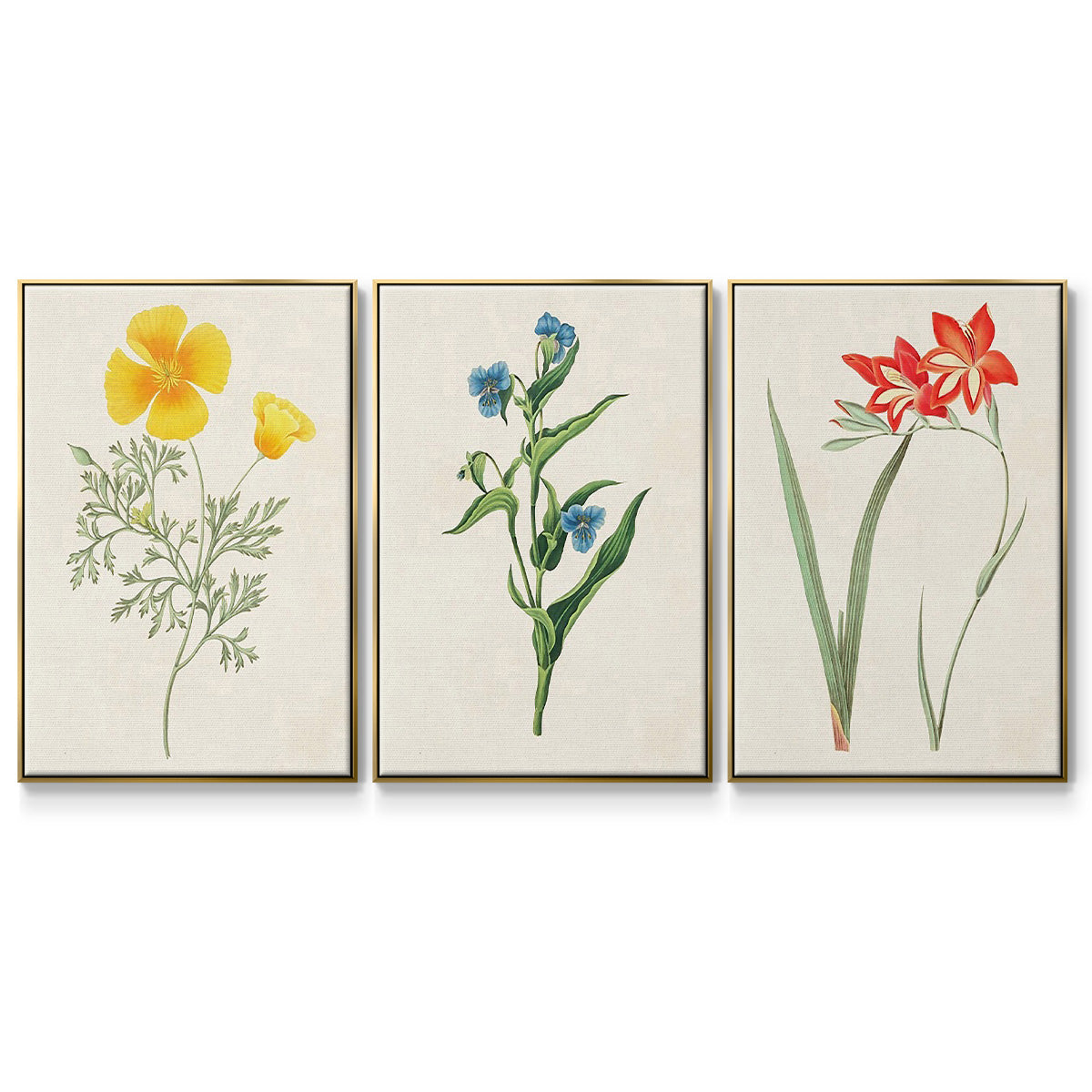 Flowers of the Seasons IV - Framed Premium Gallery Wrapped Canvas L Frame 3 Piece Set - Ready to Hang