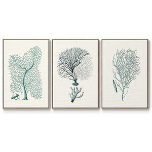 Antique Coastal Coral I - Framed Premium Gallery Wrapped Canvas L Frame 3 Piece Set - Ready to Hang