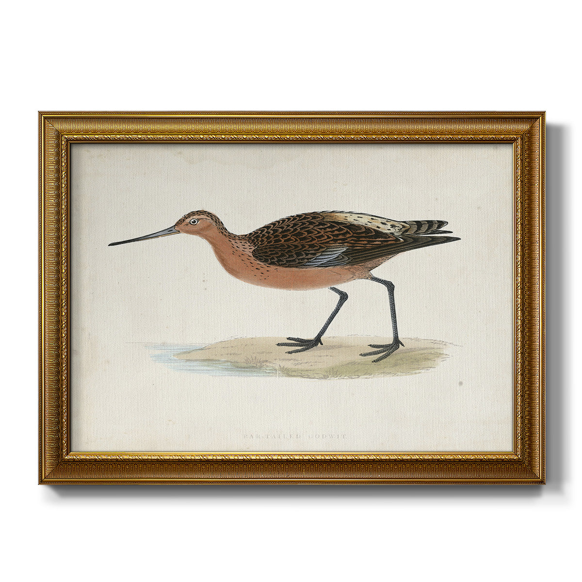 Morris Sandpipers II - Ornate Framed Canvas Print
