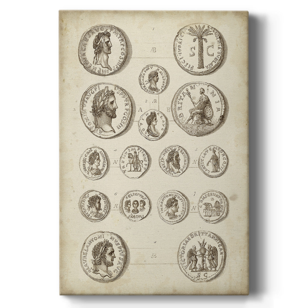 Antique Roman Coins IV - Canvas Art Print