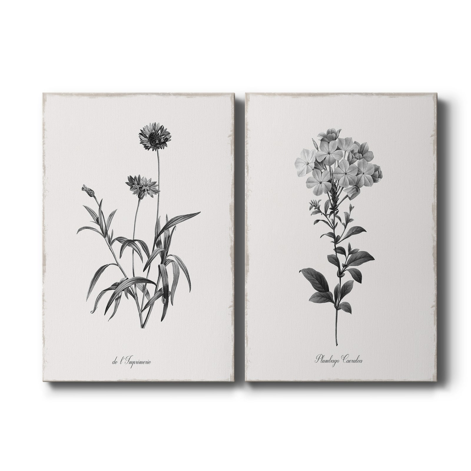 Simply Imperial - Canvas Art Set