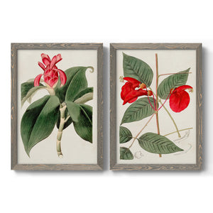 Flora of the Tropics I - Premium Framed Canvas 2 Piece Set - Ready to Hang