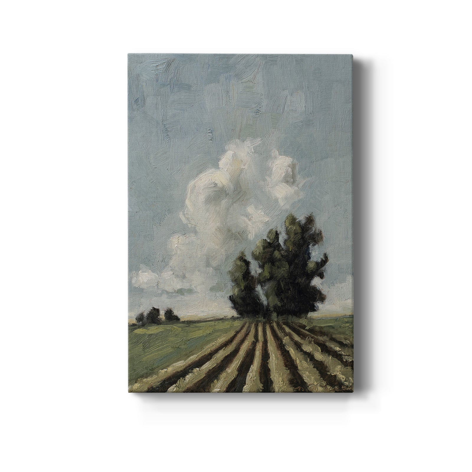Copse of Trees - Canvas Art Print