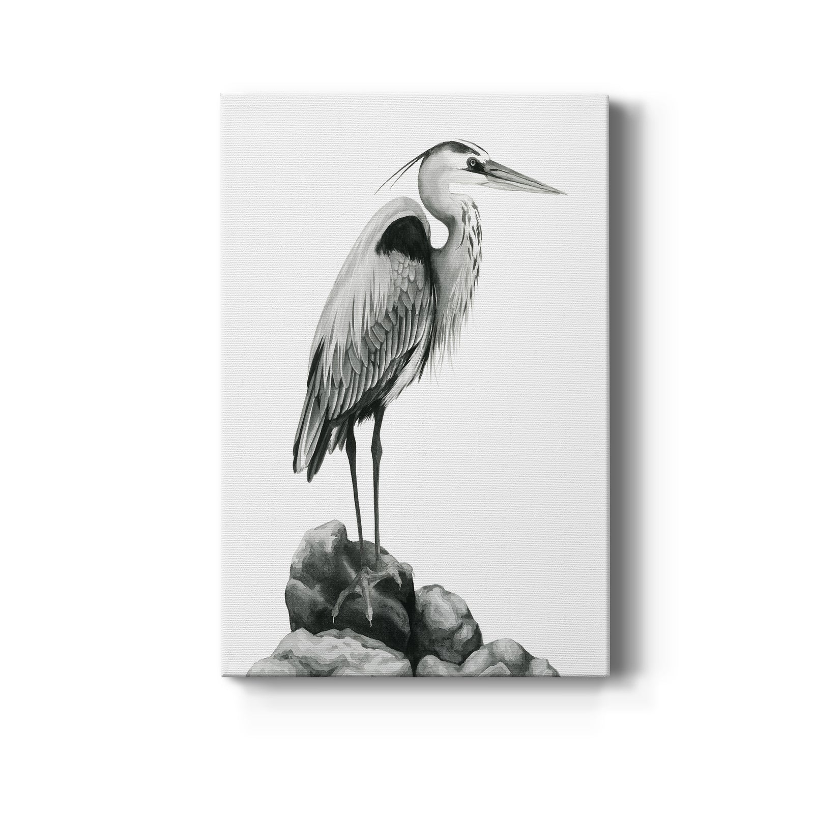 Shoreline Heron in B&W I - Canvas Art Print