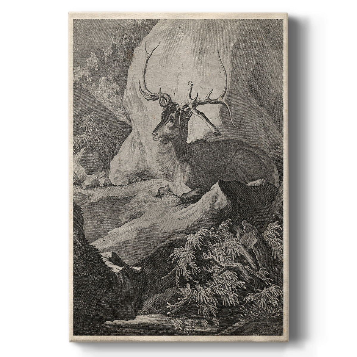 Woodland Deer VIII - Canvas Art Print