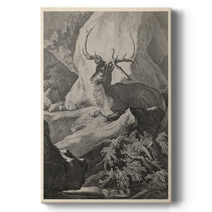 Woodland Deer VIII Premium Gallery Wrapped Canvas - Ready to Hang