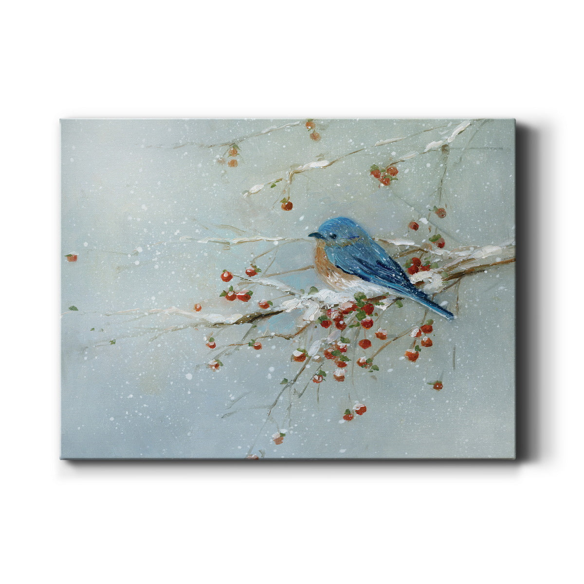 Blue Bird in Winter - Premium Gallery Wrapped Canvas  - Ready to Hang