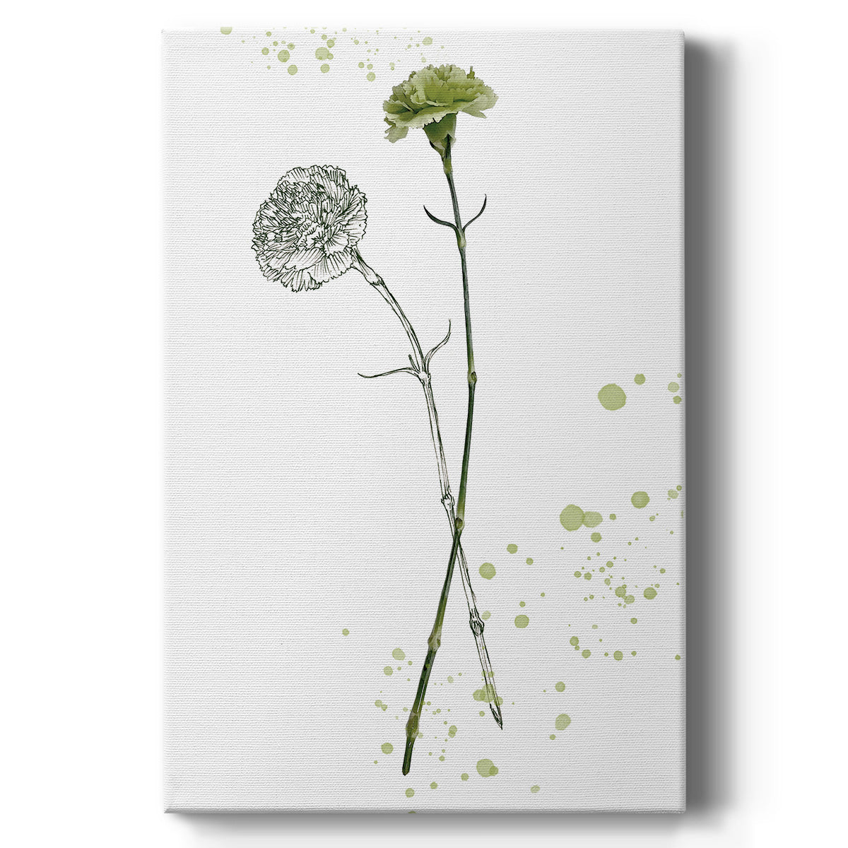 Botany Flower III - Canvas Art Print