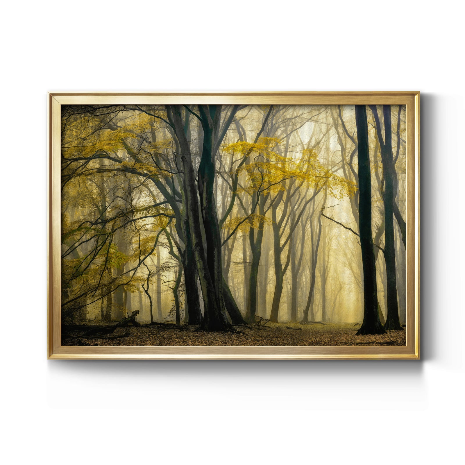 In Love with Golden Fall - Modern Framed Canvas Print