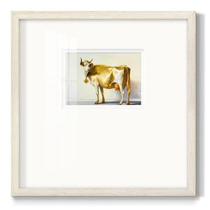 Gold Cow Premium Framed Print Double Matboard