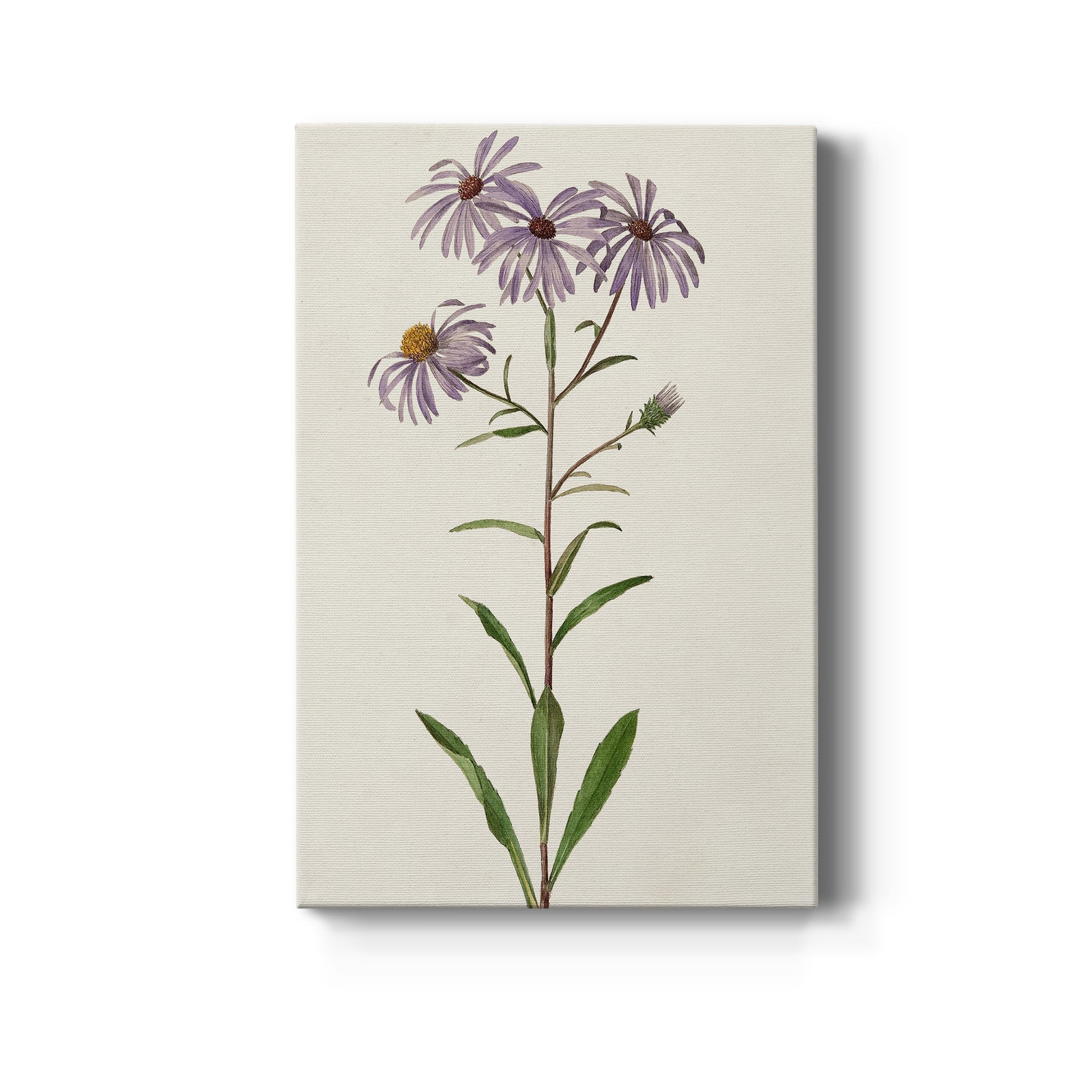 Mauve Garden Flowers III - Canvas Art Print