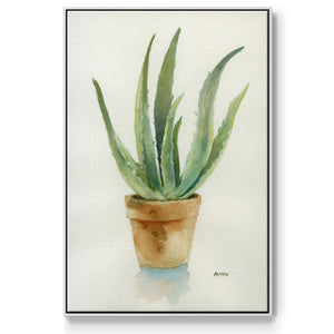 Succulent IV - Framed Premium Gallery Wrapped Canvas L Frame - Ready to Hang