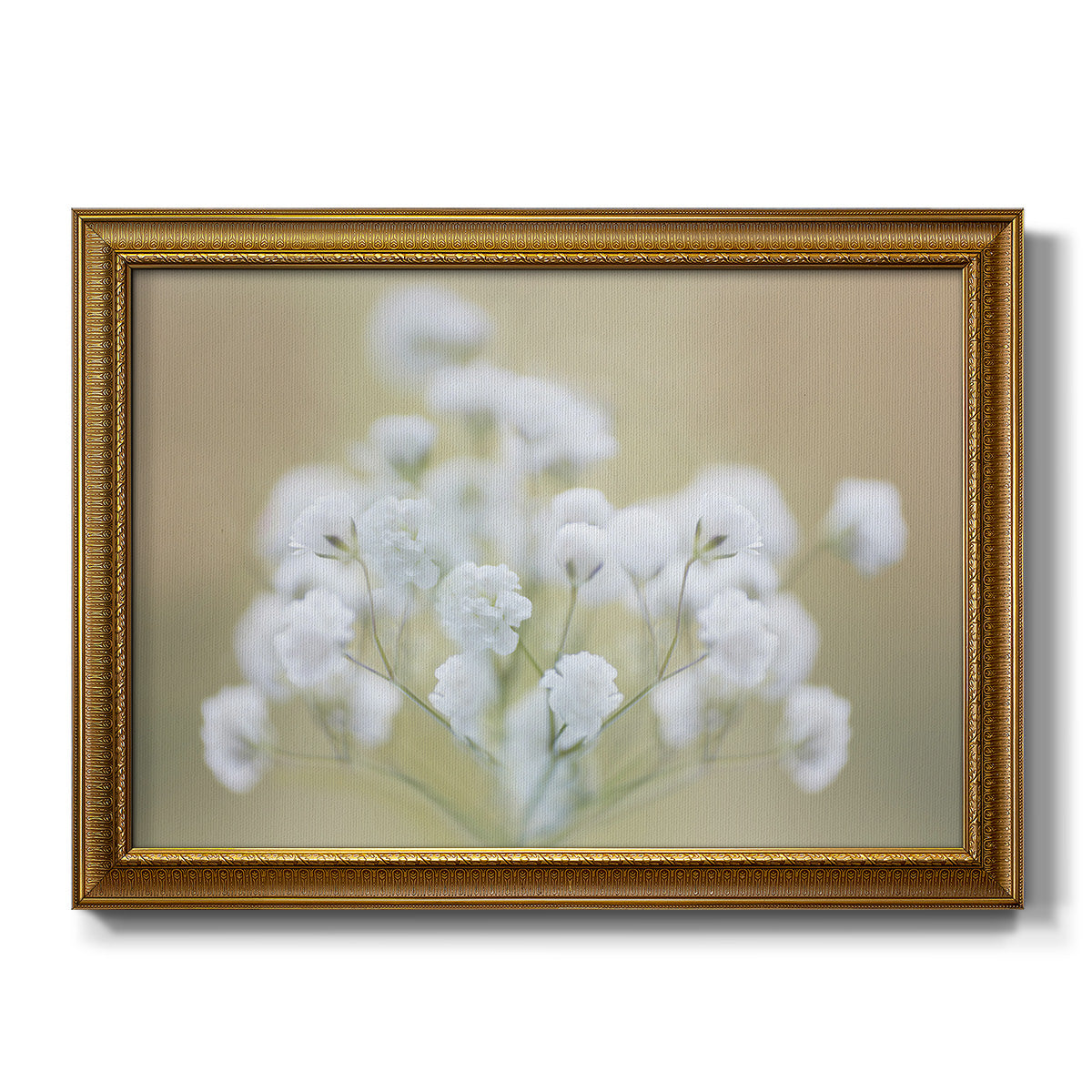 Baby's Breath Study I - Ornate Framed Canvas Print