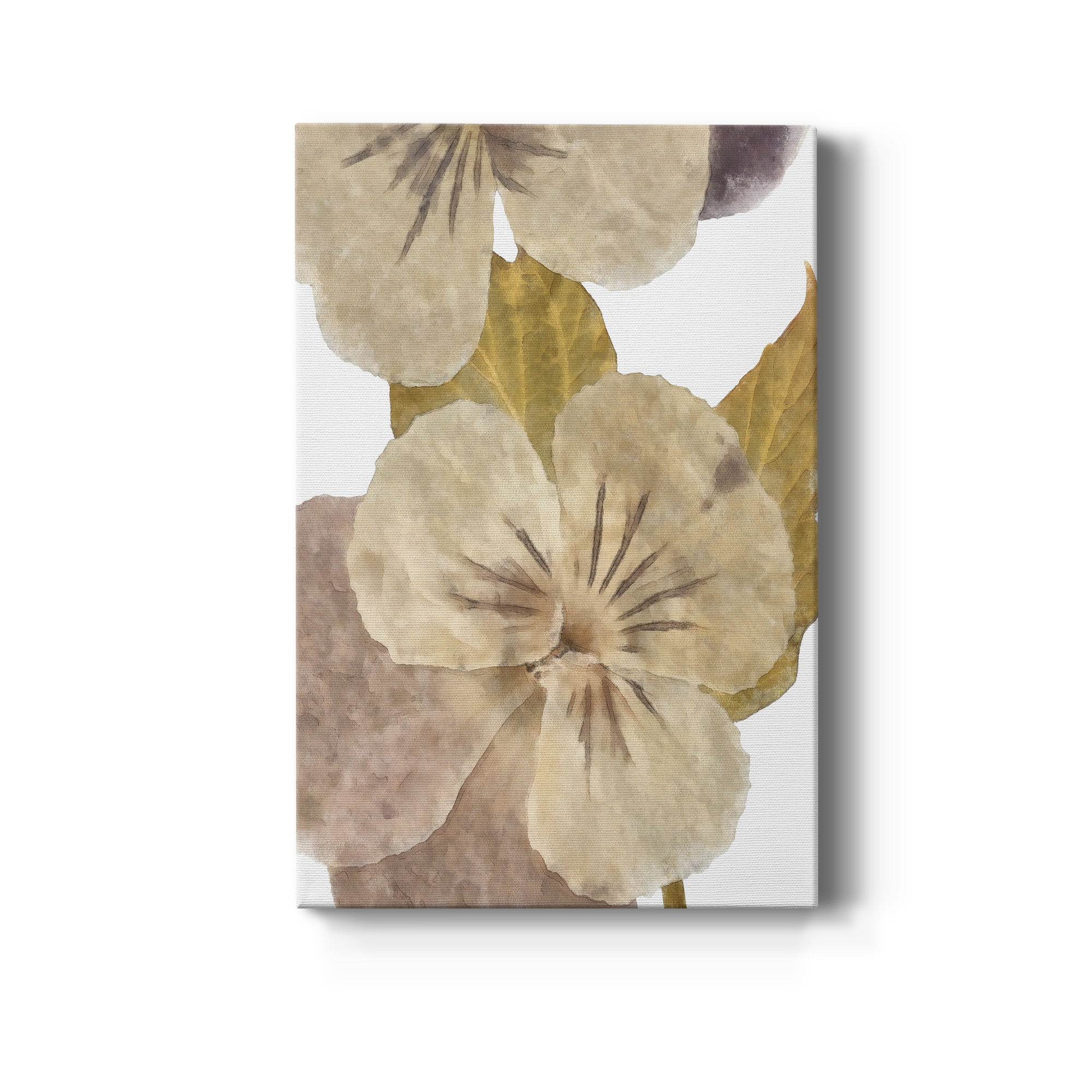 Neutral Pansy II Premium Gallery Wrapped Canvas - Ready to Hang