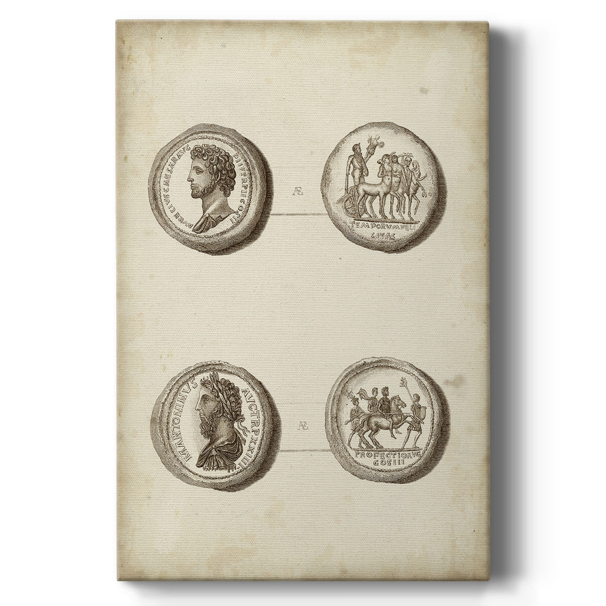Antique Roman Coins VI - Canvas Art Print