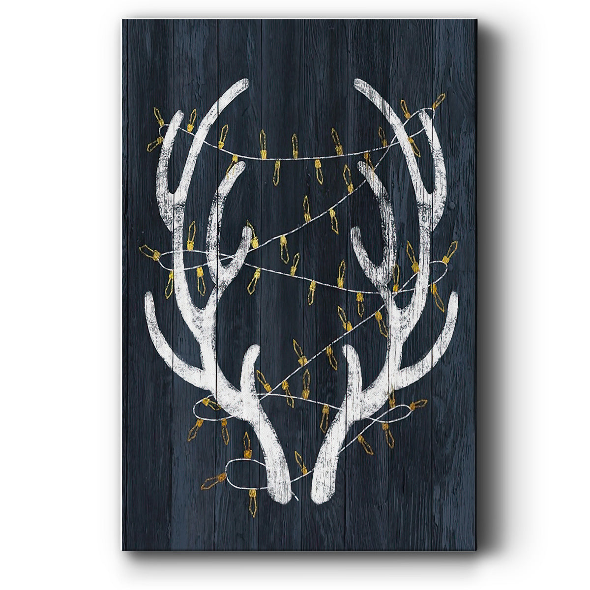 Antlers & Lights - Canvas Art Print