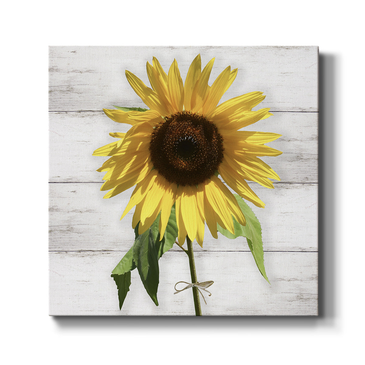 Sunflower on Wood - Canvas Art Print