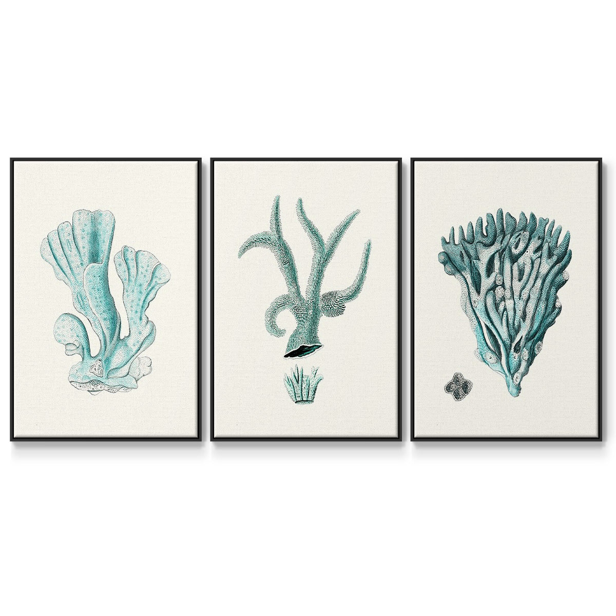 Antique Coastal Coral X - Framed Premium Gallery Wrapped Canvas L Frame 3 Piece Set - Ready to Hang