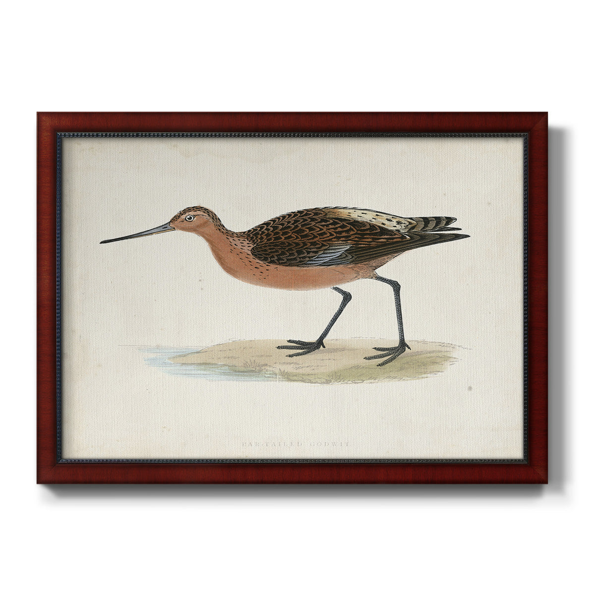 Morris Sandpipers II Premium Framed Canvas- Ready to Hang