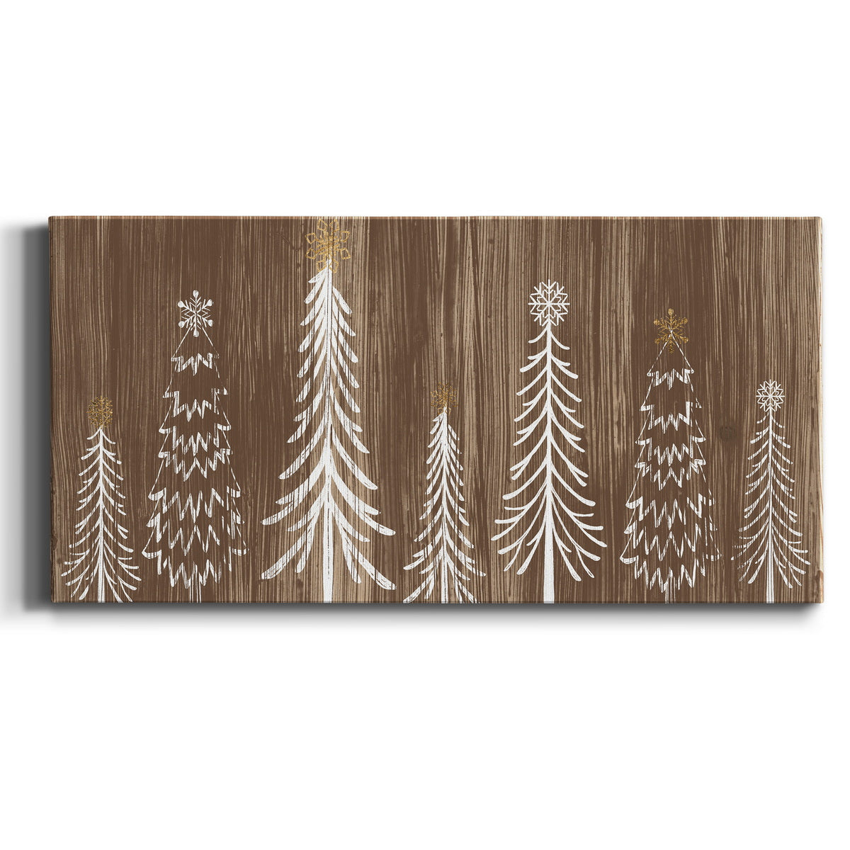 Barnwood Wonderland Collection D+ - Canvas Art Print