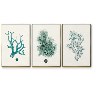 Antique Coastal Coral IV - Framed Premium Gallery Wrapped Canvas L Frame 3 Piece Set - Ready to Hang