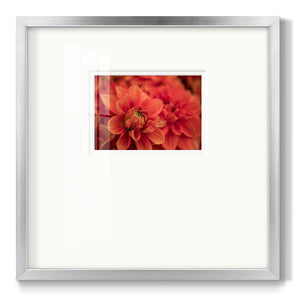 Spring Fire Premium Framed Print Double Matboard