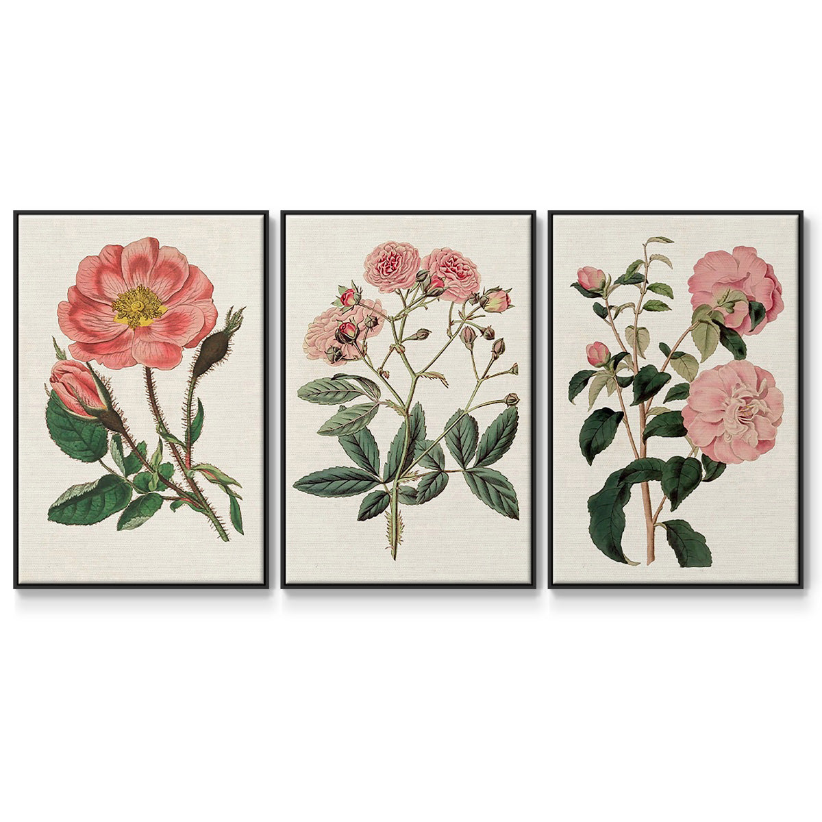 Pink Floral Mix IV - Framed Premium Gallery Wrapped Canvas L Frame 3 Piece Set - Ready to Hang