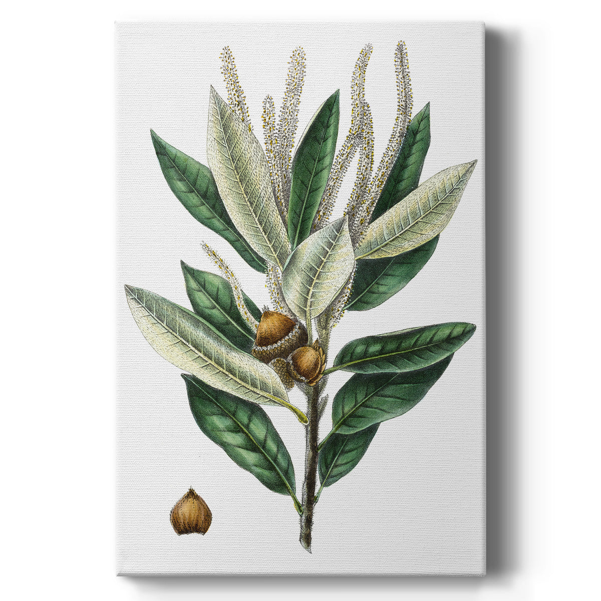 Dense Flowered Oak Premium Gallery Wrapped Canvas - Ready to Hang