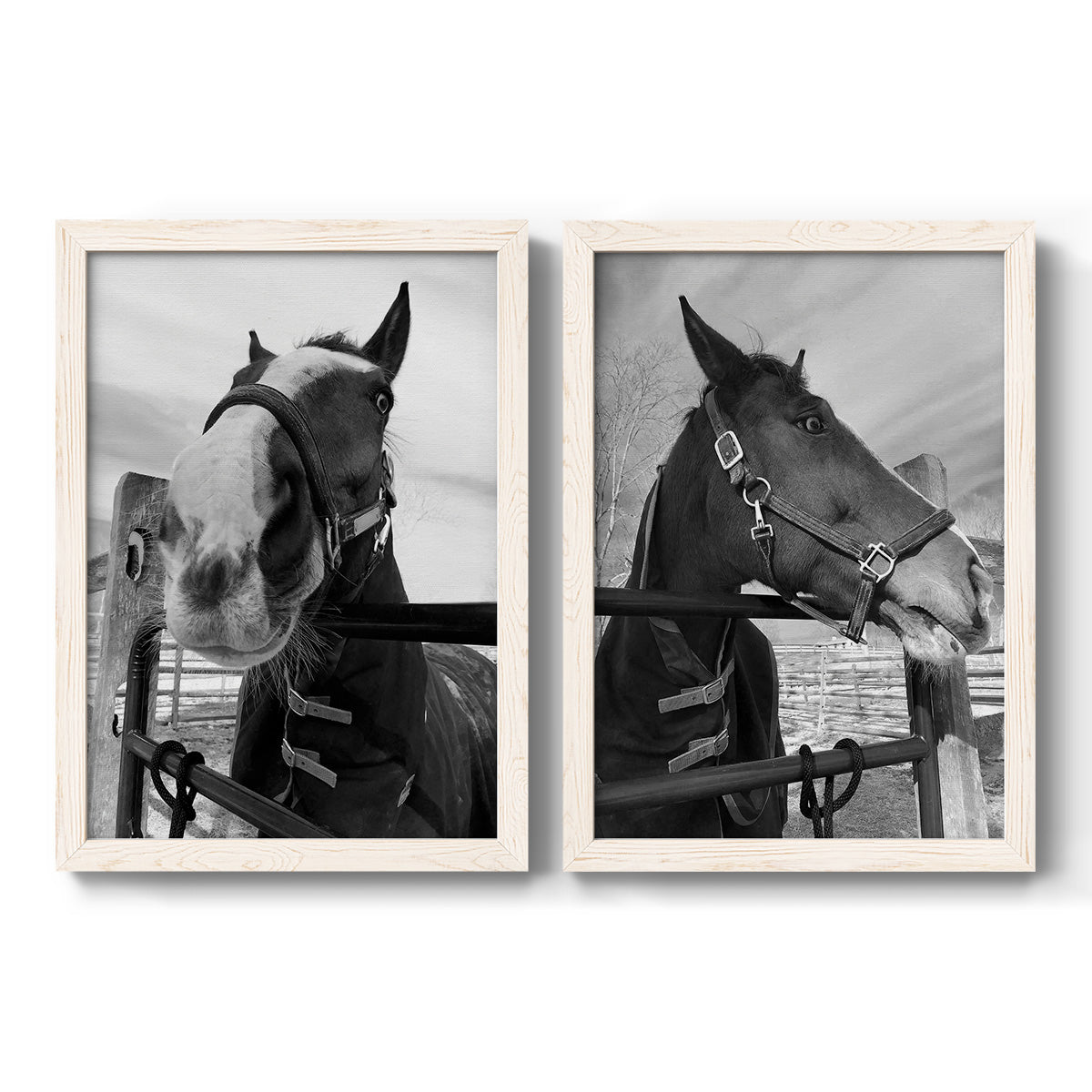 Argenteuil - Premium Framed Canvas 2 Piece Set - Ready to Hang