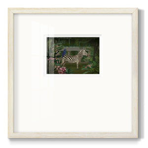 Zebra In Conservatory Premium Framed Print Double Matboard