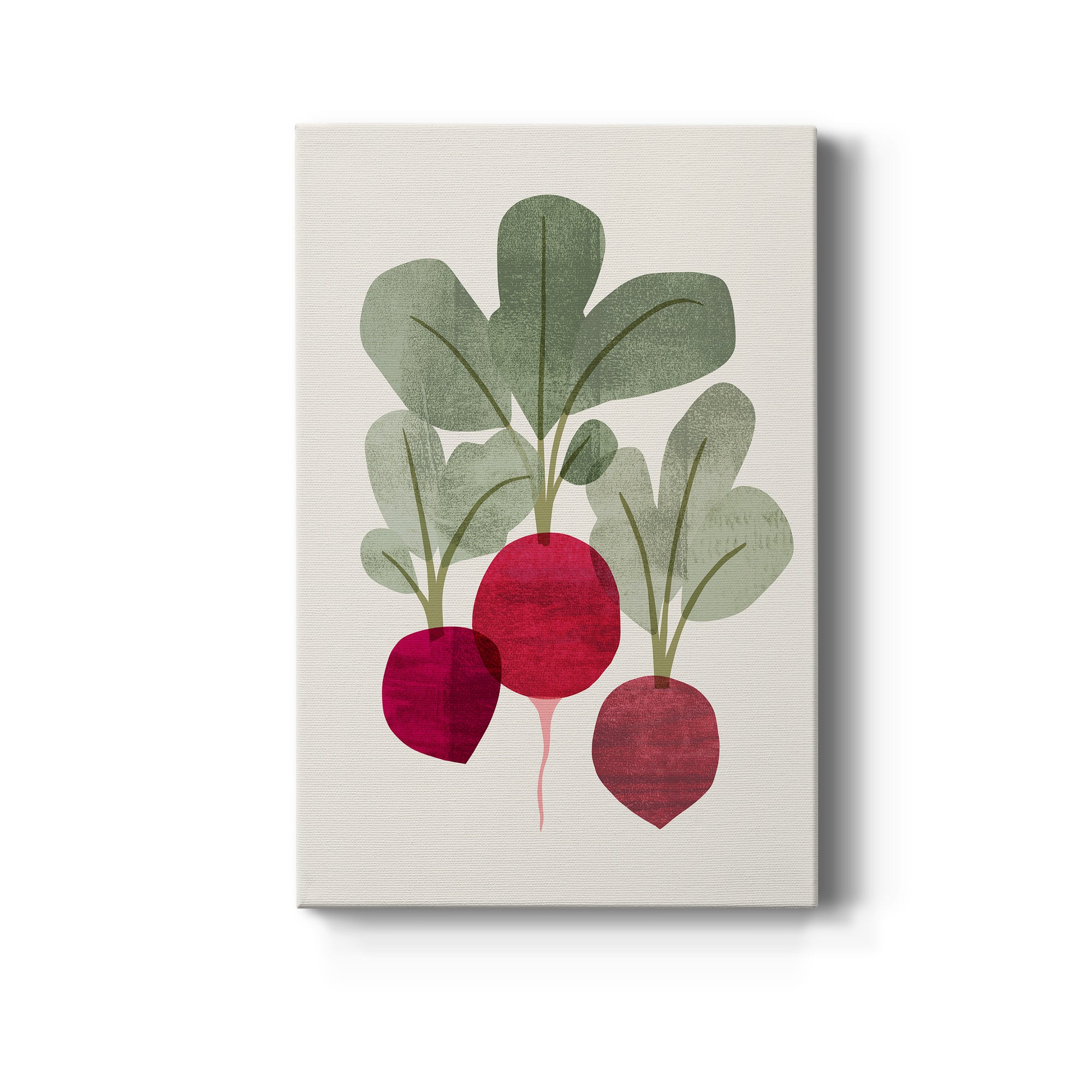 Organic Veg I Premium Gallery Wrapped Canvas - Ready to Hang