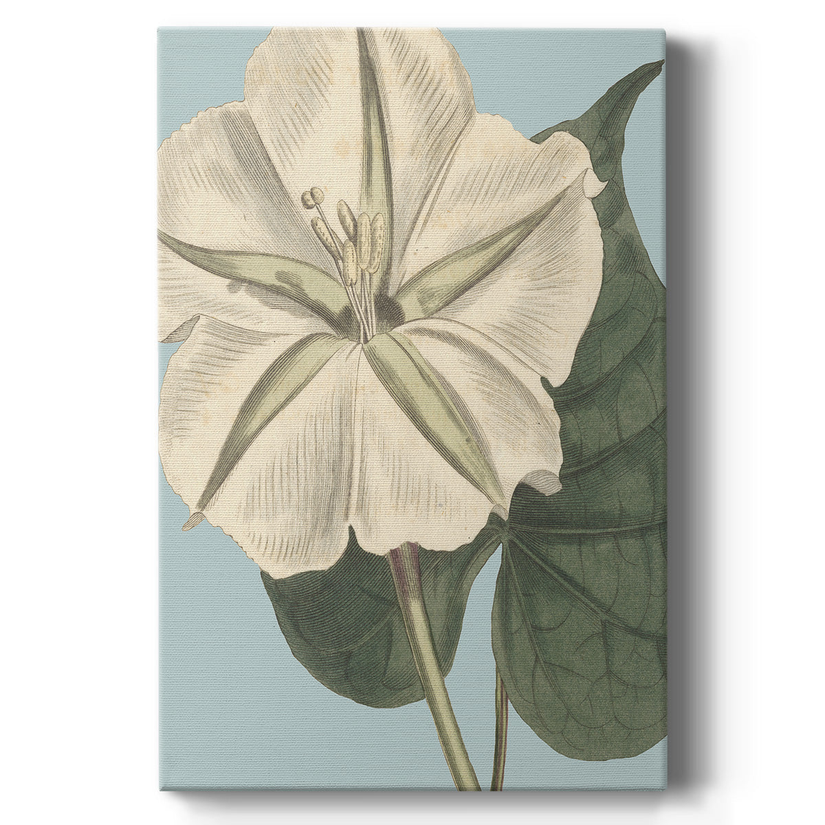 Fresh Florals IV Premium Gallery Wrapped Canvas - Ready to Hang