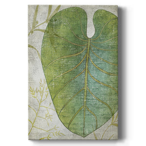 Frond IV Premium Gallery Wrapped Canvas - Ready to Hang