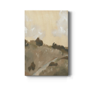 Hillside Walking Path IV - Canvas Art Print