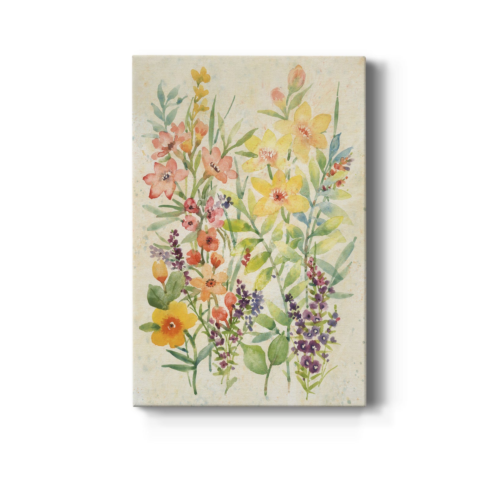 Freshly Cut I - Canvas Art Print