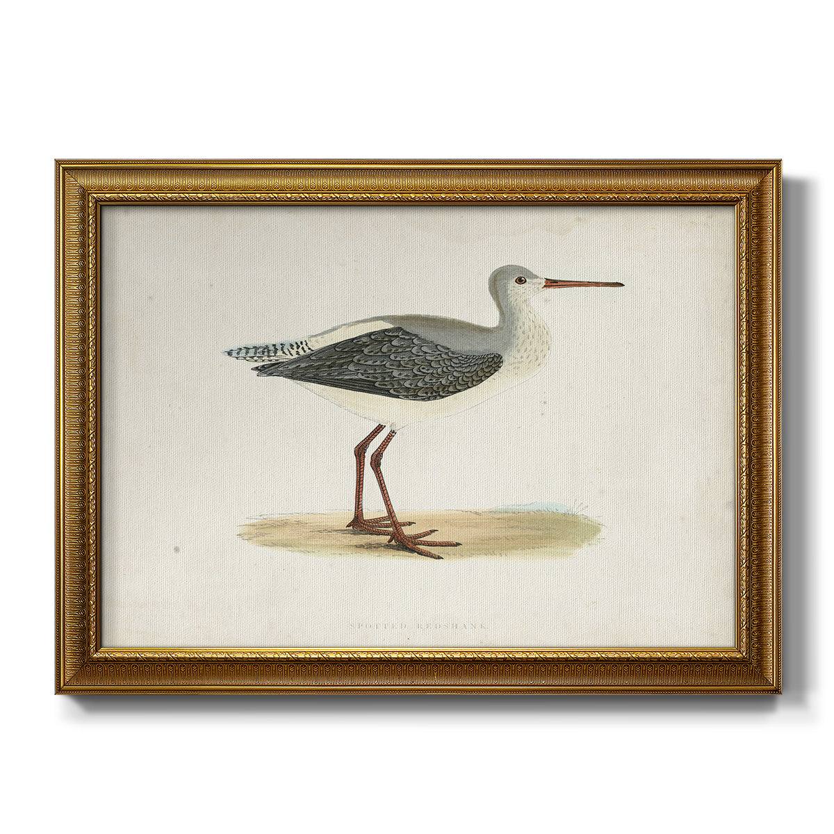 Morris Sandpipers I - Ornate Framed Canvas Print